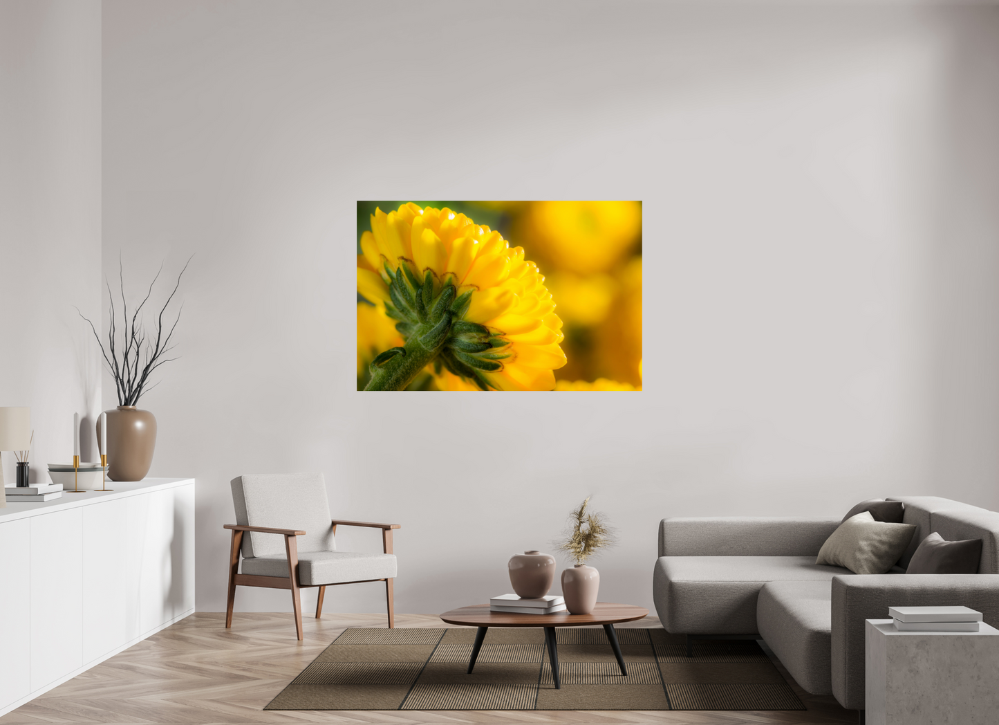 150 x 100 cm, Fine Art Print Baryta auf Alu-Dibond Chrysanthemen-05