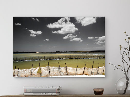 Benfica - Areia Branca - RN