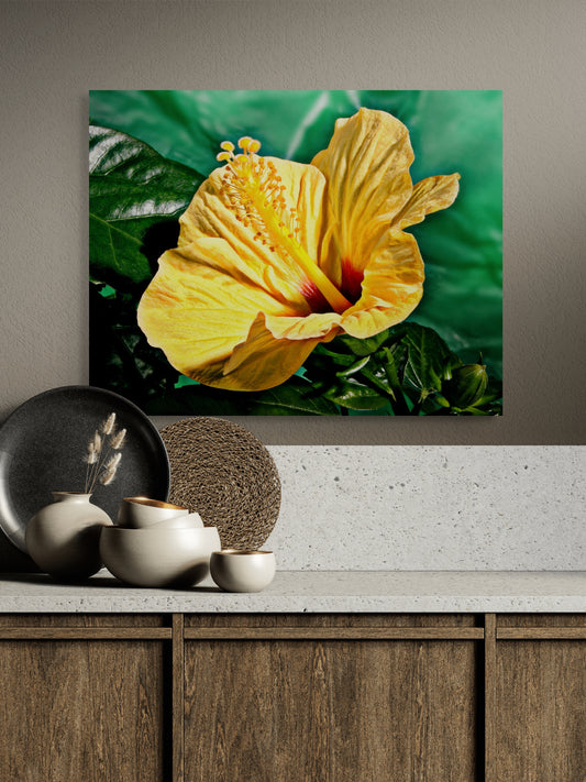 Hibiscus-02