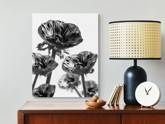 Kronenanemone_05