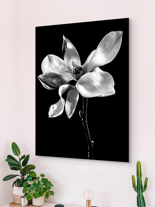 Magnolie_01