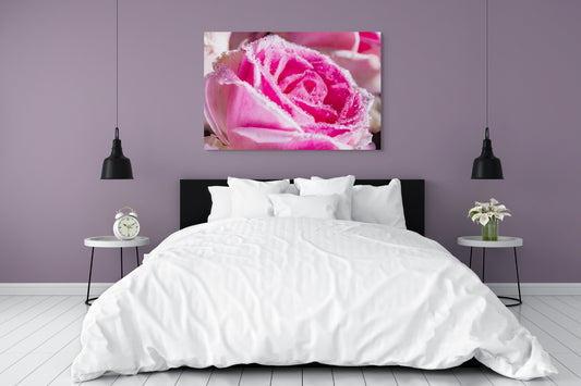 Rose_09