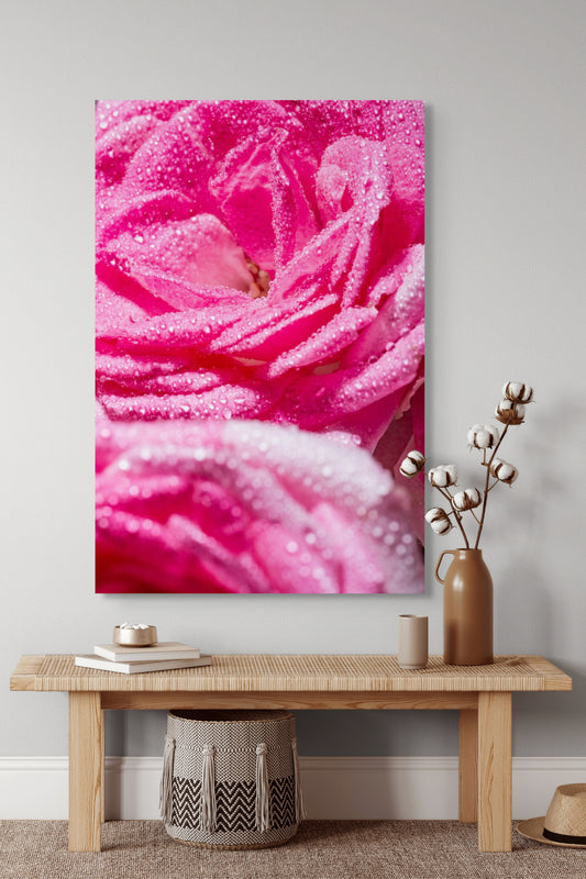 Rose_10