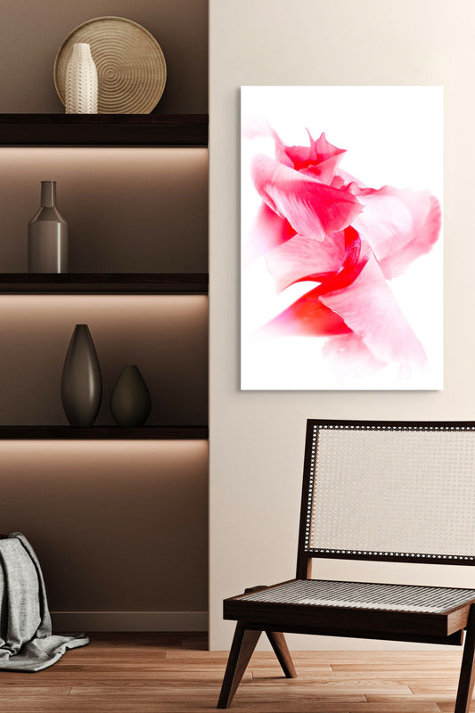 Rose_11