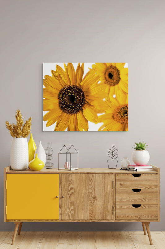 Sonnenblume