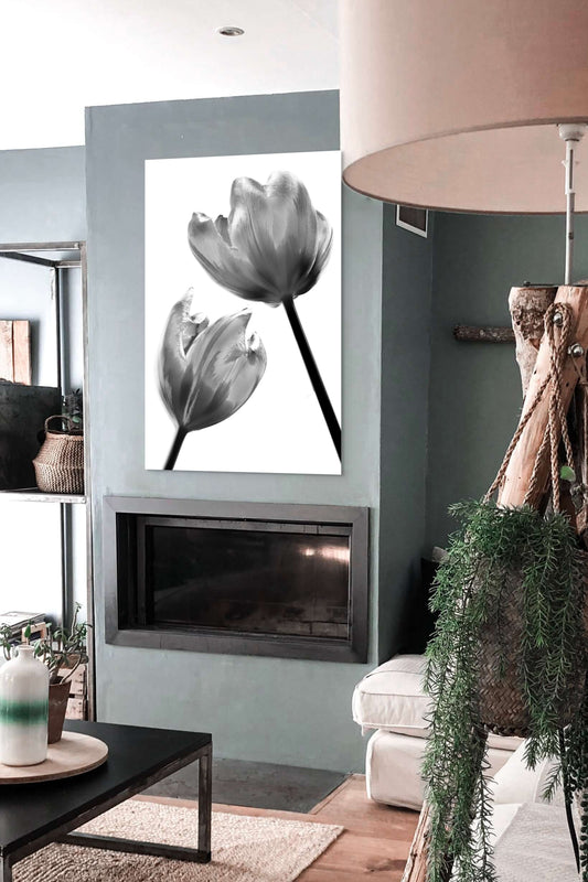 Tulpe-09