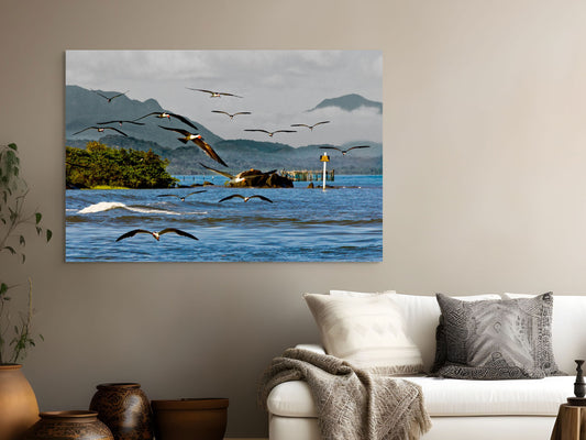 Ilha do Cardoso - Cananéia