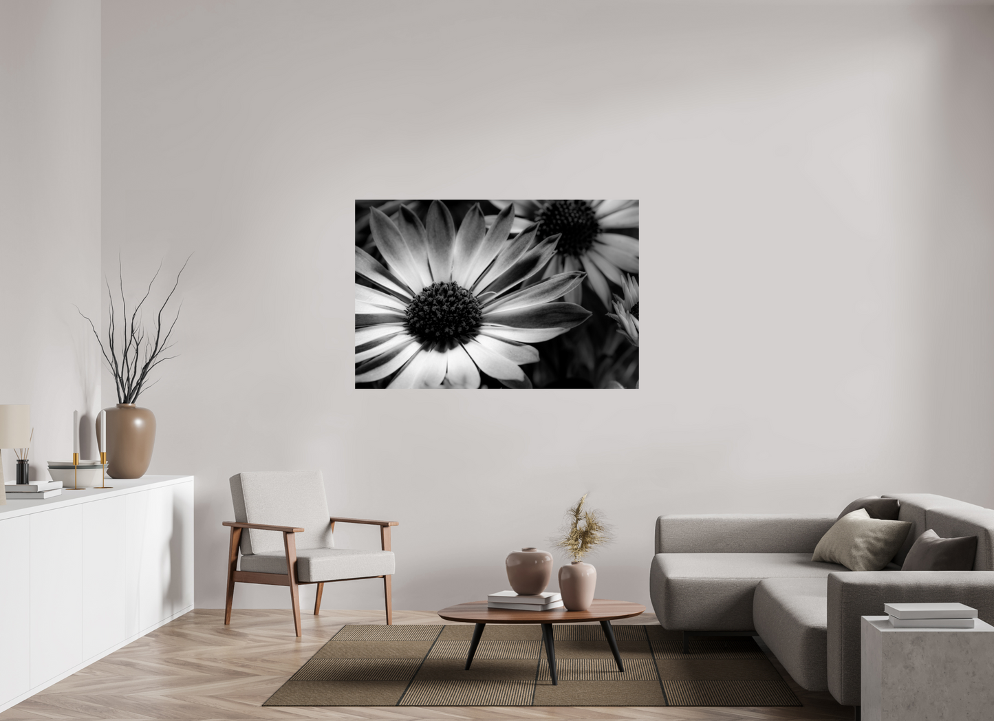 150 x 100 cm, Fine Art Print Baryta auf Alu-Dibond Kapmargerite_02