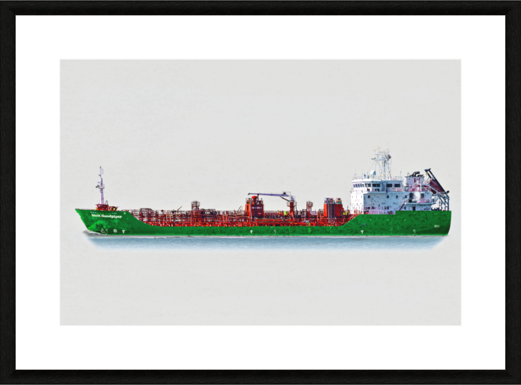 Main image Sandpiper