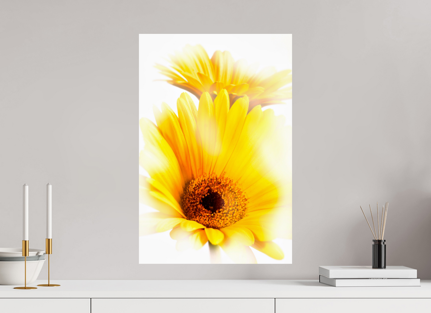 40 x 60 cm, ChromaLuxe HD Metal Print Gerbera_11