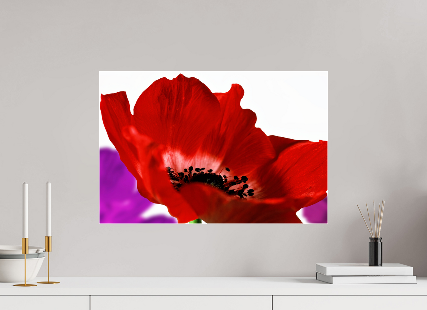 60 x 40 cm, Glänzender Foto-Abzug Acrylglas Kronenanemone_07