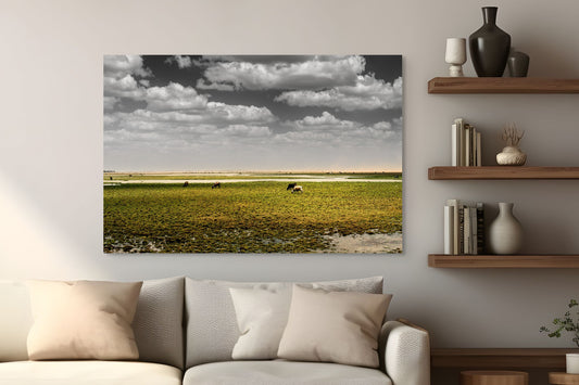 Alagado - Porto do Mangue - RN