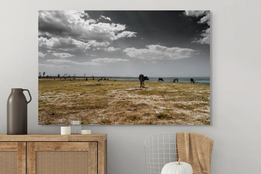 Açude - Pendências - RN