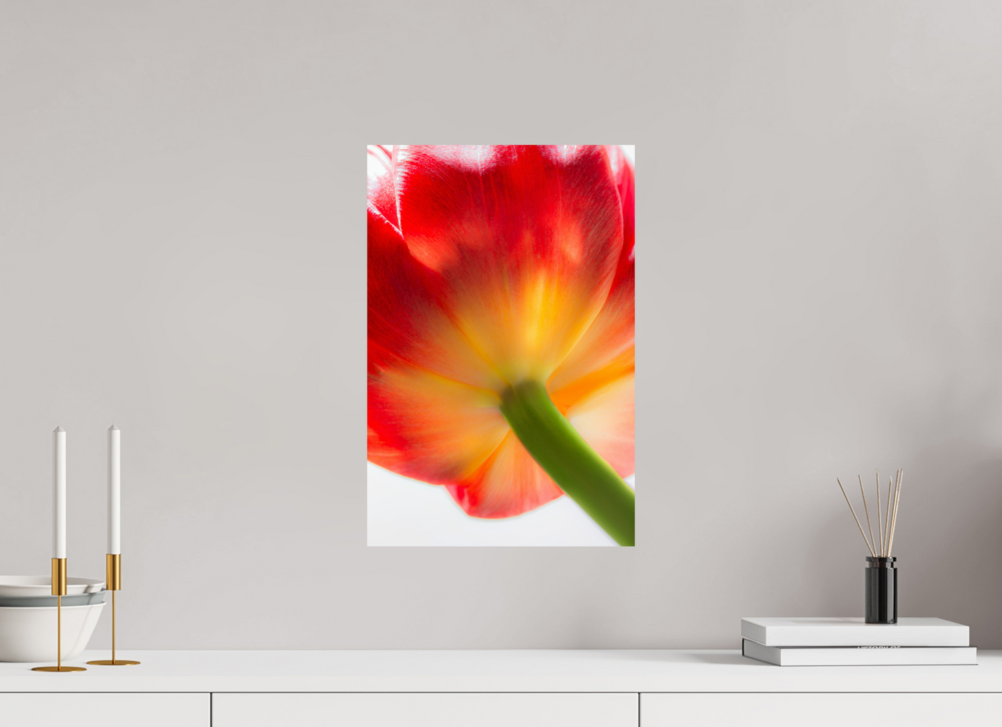 30 x 45 cm, Fine Art Print Baryta auf Alu-Dibond Tulpe-08