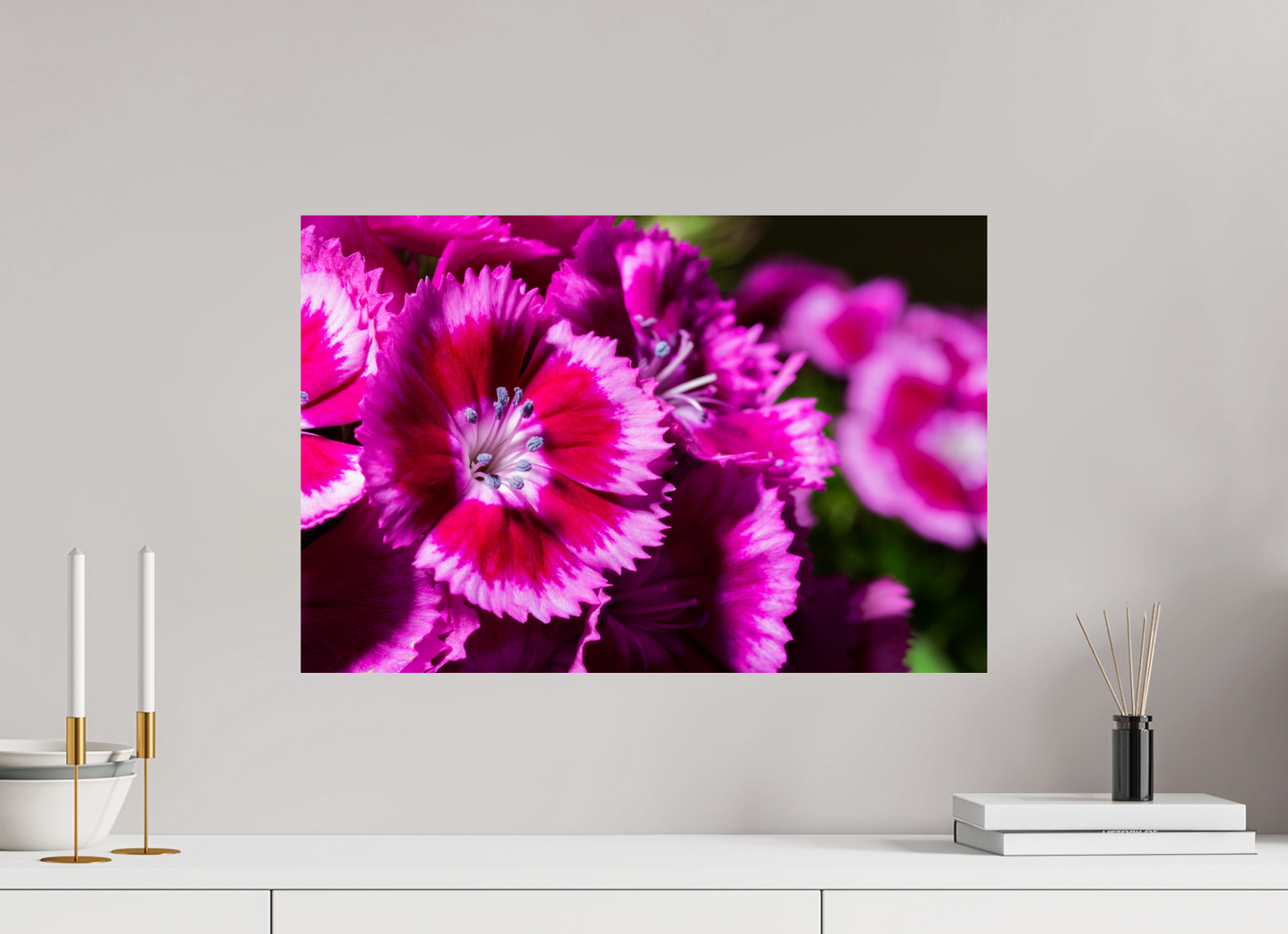 60 x 40 cm, ChromaLuxe HD Metal Print Bartnelke_01