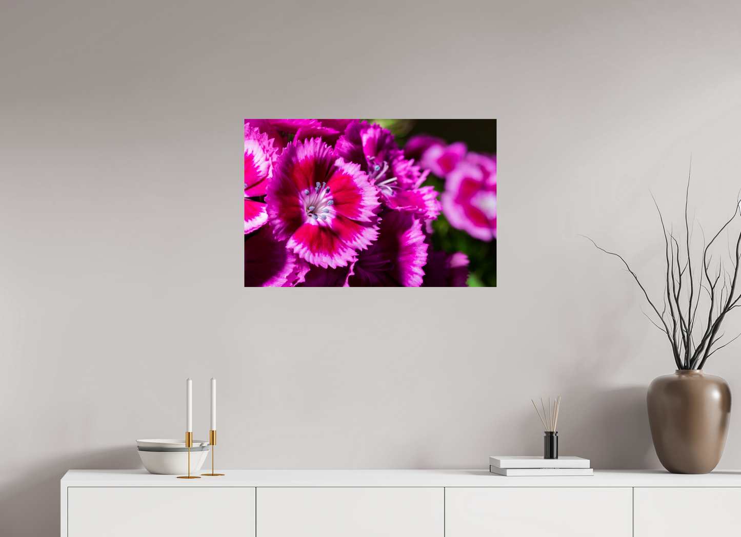 75 x 50 cm, Fine Art Print Baryta auf Alu-Dibond Bartnelke_01