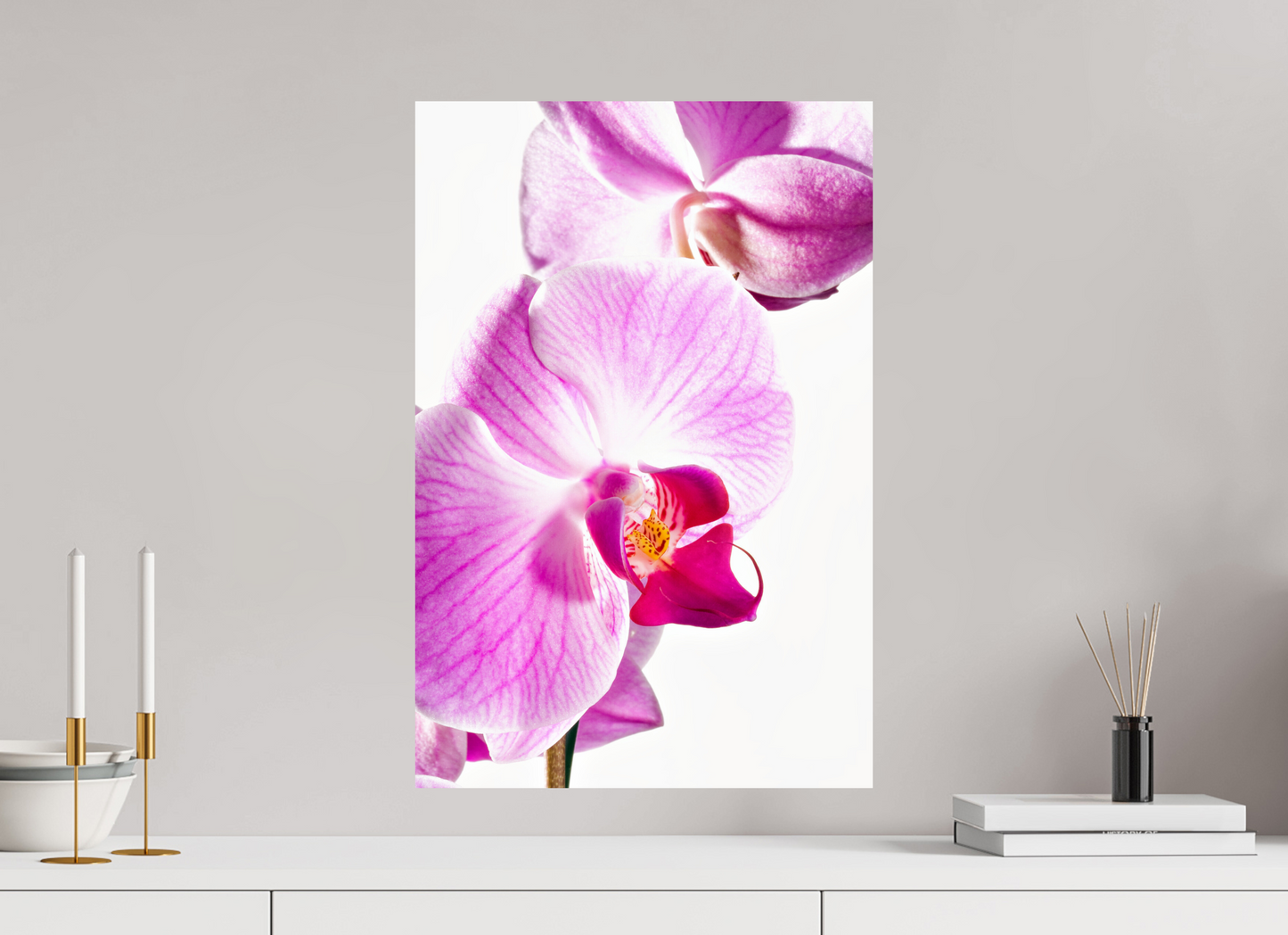 40 x 60 cm, ChromaLuxe HD Metal Print Phalaenopsis-01