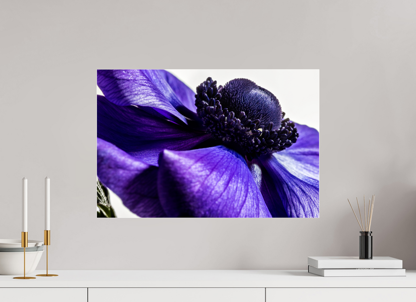 60 x 40 cm, Glänzender Foto-Abzug Acrylglas Kronenanemone_04