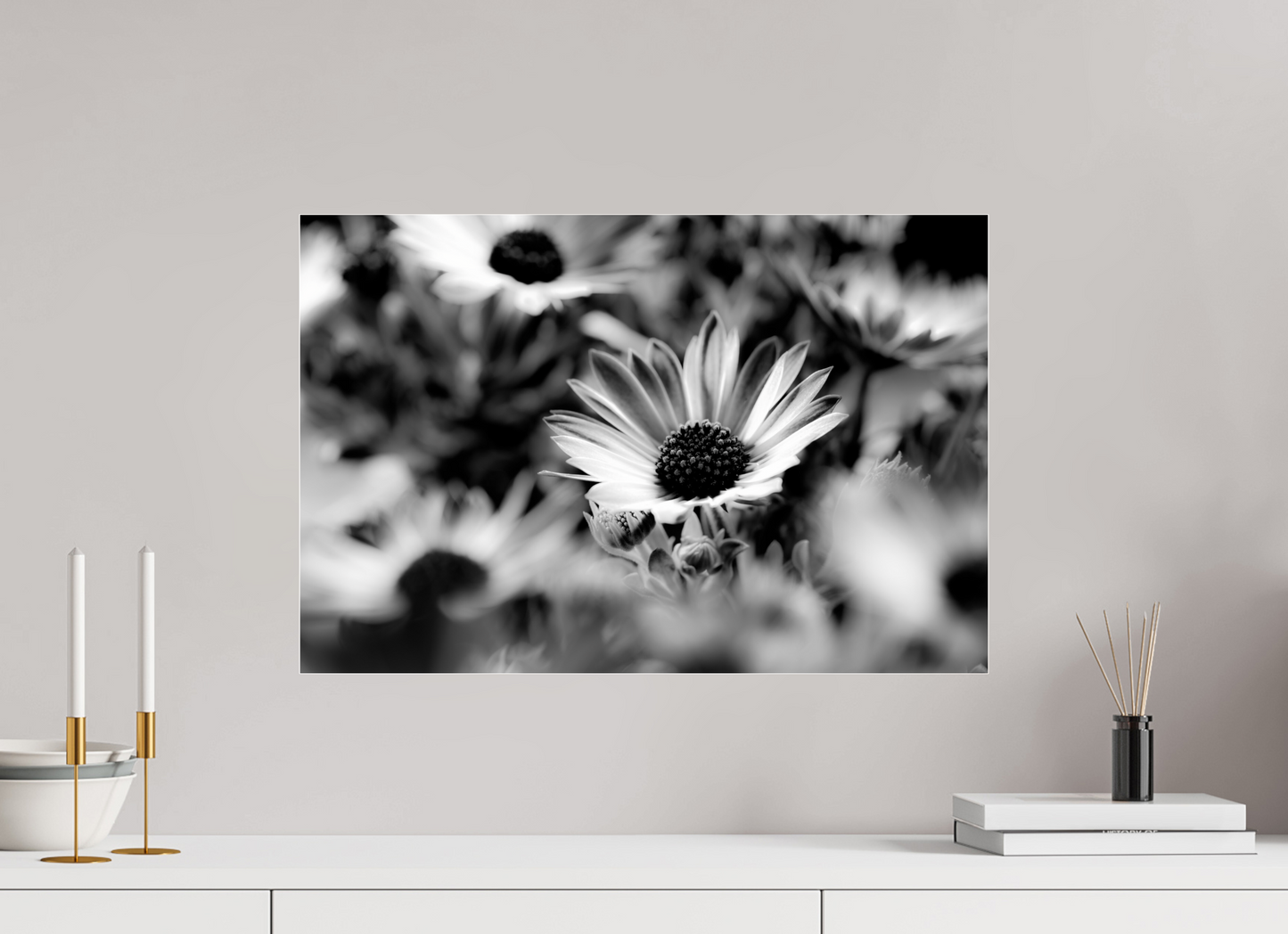 60 x 40 cm, Glänzender Foto-Abzug Acrylglas Kapmargerite_04