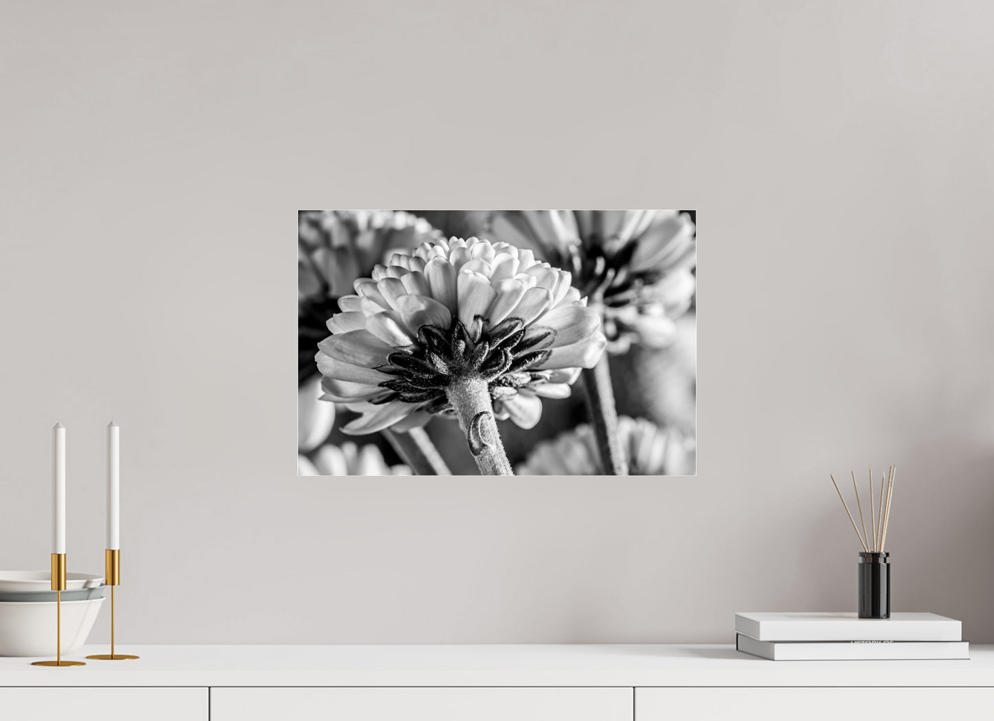 45 x 30 cm, Glänzender Foto-Abzug Acrylglas Chrysanthemen-03