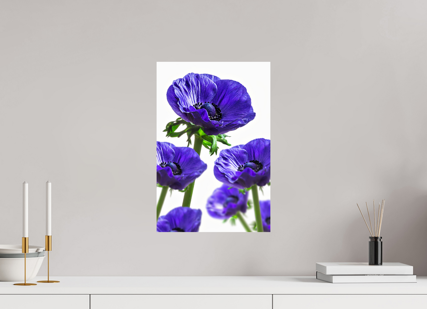 30 x 45 cm, ChromaLuxe HD Metal Print Kronenanemone_06