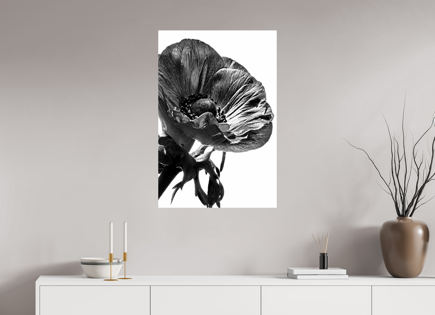 60 x 90 cm, Fine Art Print Baryta auf Alu-Dibond Kronenanemone_01