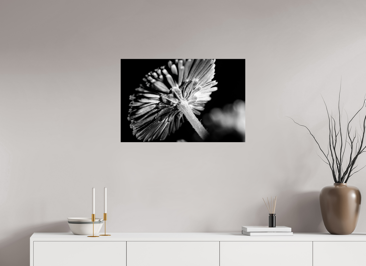 75 x 50 cm, Fine Art Print Baryta auf Alu-Dibond Aster-004