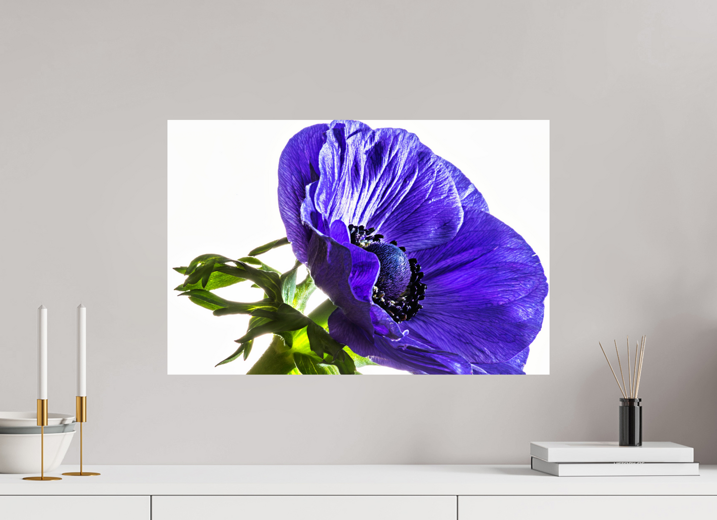 60 x 40 cm, ChromaLuxe HD Metal Print Kronenanemone_02