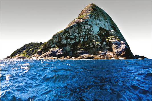 Main image Ilha Queimada Grande - Peruíbe - SP