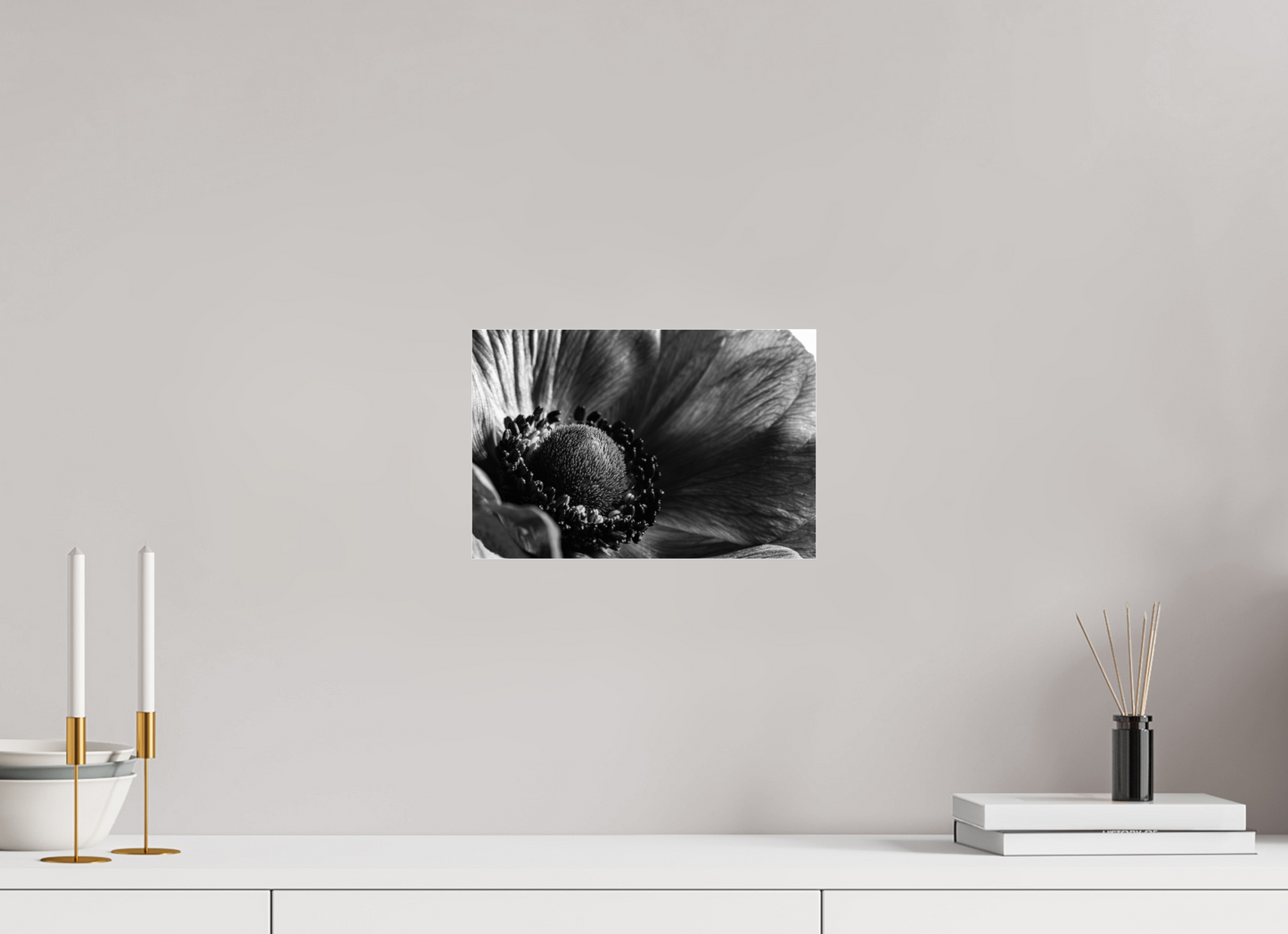 30 x 20 cm, Glänzender Foto-Abzug Acrylglas Kronenanemone_03