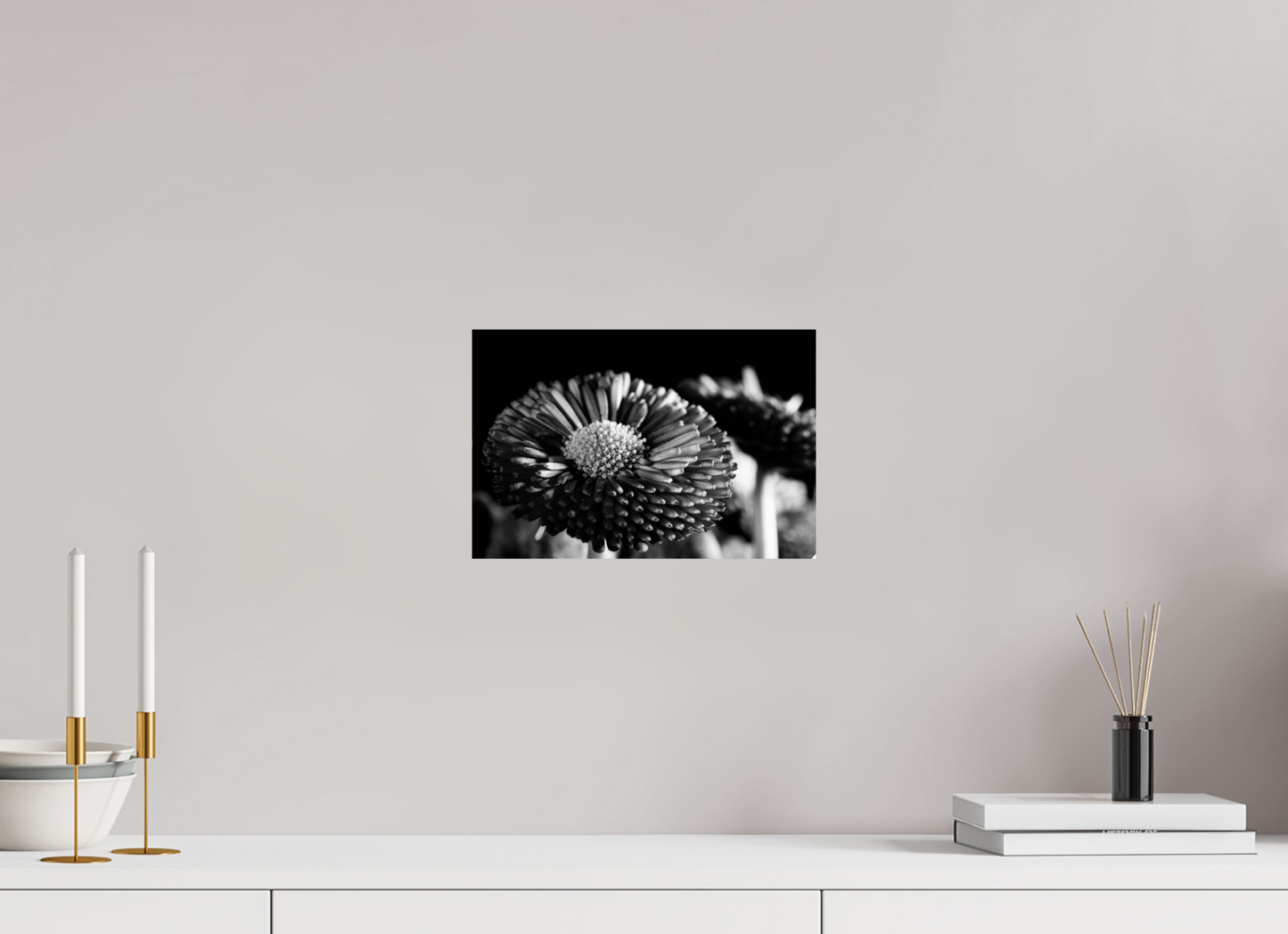 30 x 20 cm, Fine Art Print Baryta auf Alu-Dibond Aster-003
