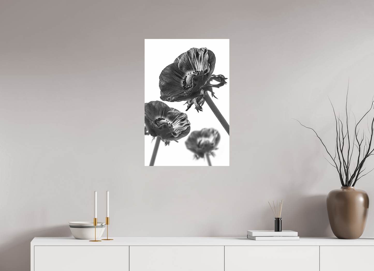 50 x 75 cm, ChromaLuxe HD Metal Print Kronenanemone_08