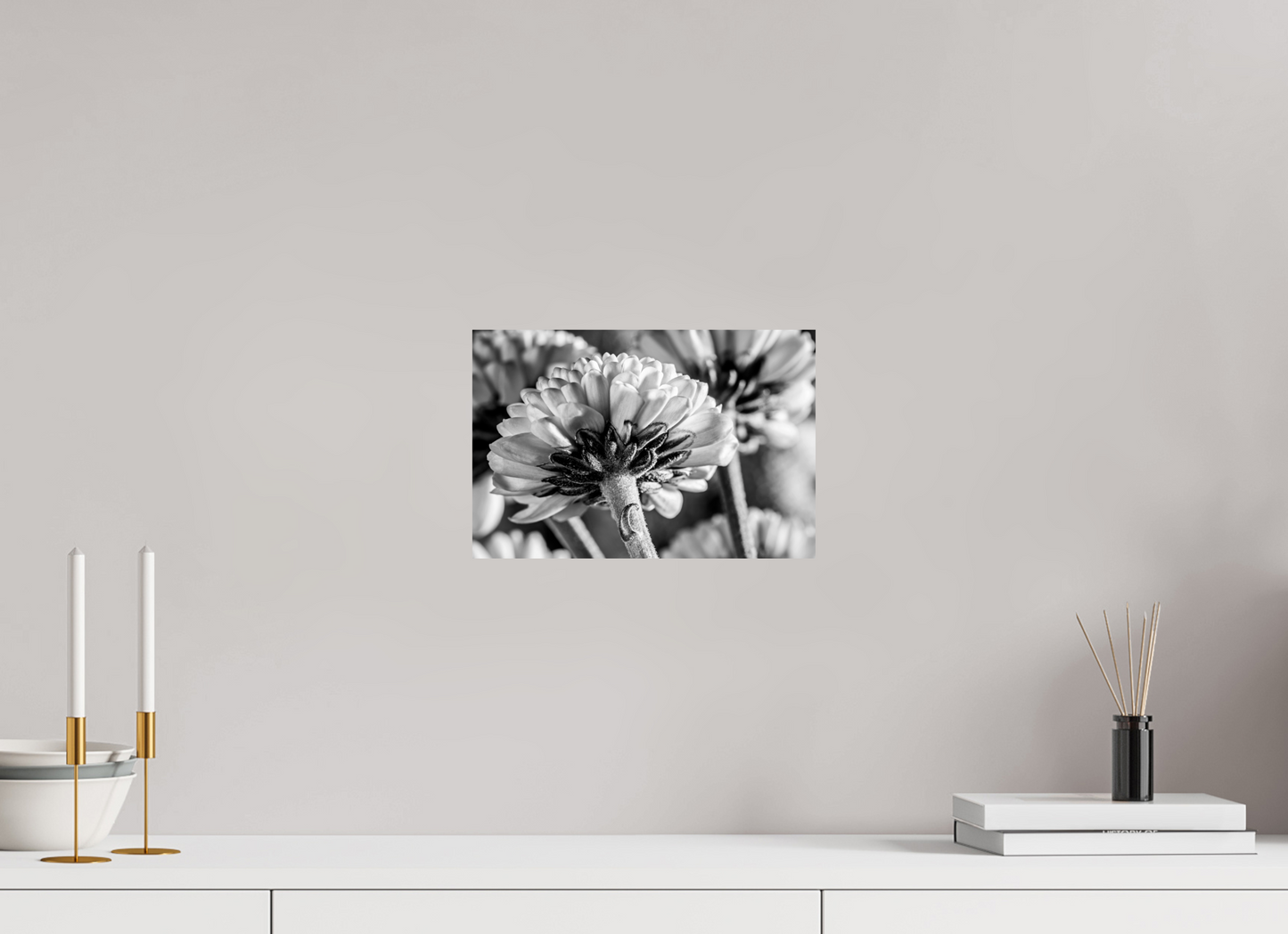 30 x 20 cm, ChromaLuxe HD Metal Print Chrysanthemen-03