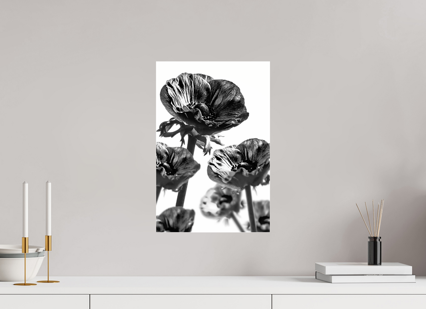 30 x 45 cm, Glänzender Foto-Abzug Acrylglas Kronenanemone_05