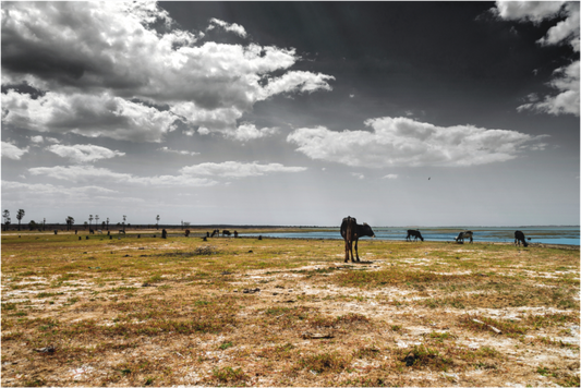 Main image Açude - Pendências - RN