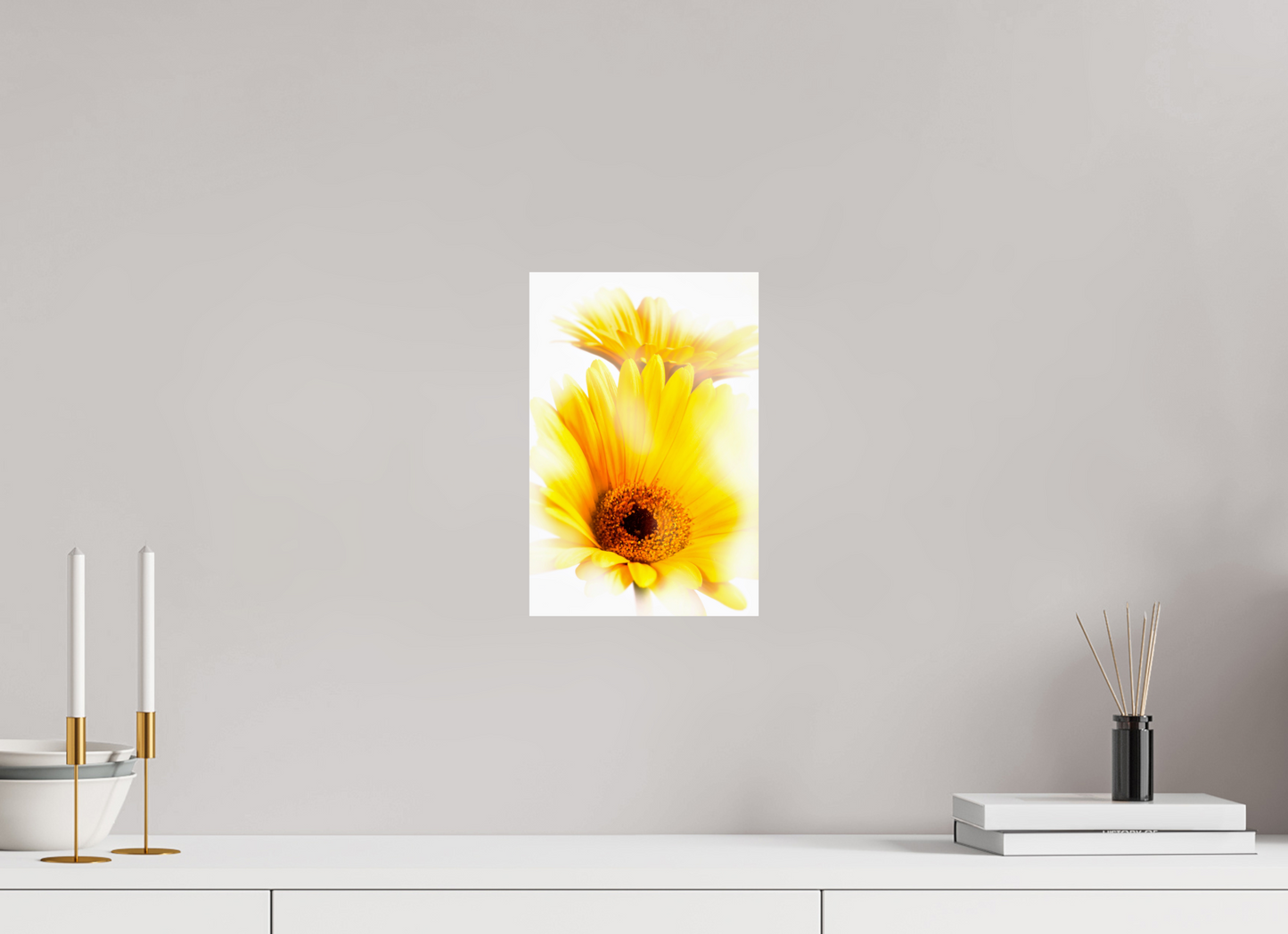 20 x 30 cm, Fine Art Print Baryta auf Alu-Dibond Gerbera_11