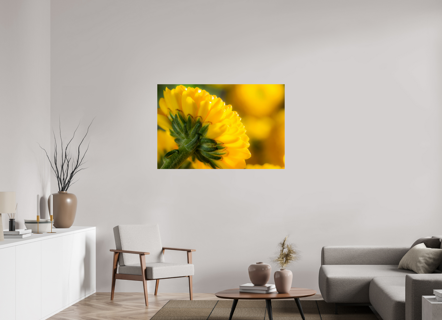 120 x 80 cm, Fine Art Print Baryta auf Alu-Dibond Chrysanthemen-05