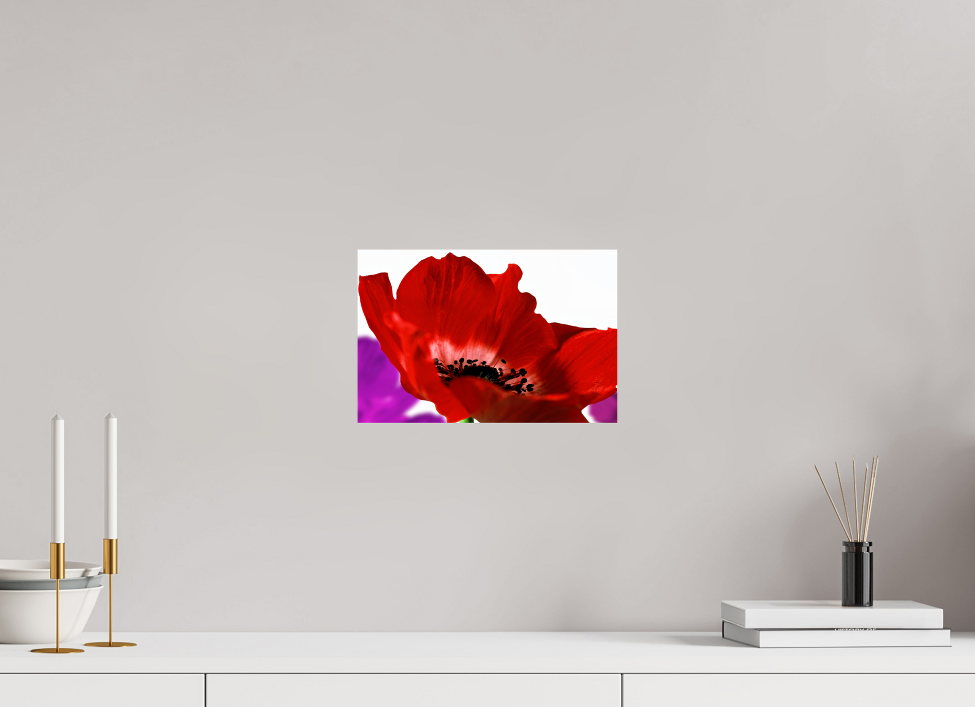 30 x 20 cm, ChromaLuxe HD Metal Print Kronenanemone_07