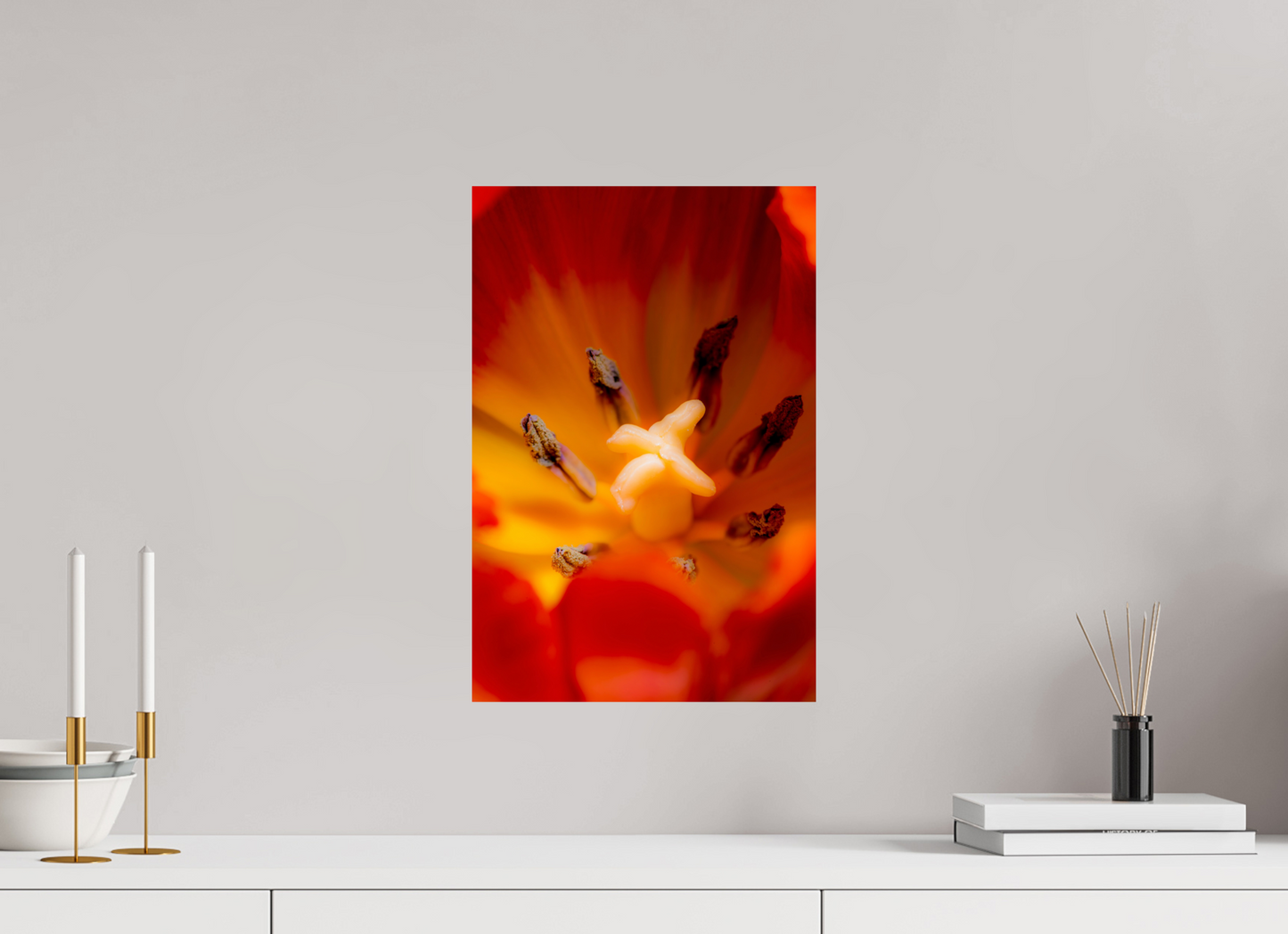 30 x 45 cm, Fine Art Print Baryta auf Alu-Dibond Tulpe-03