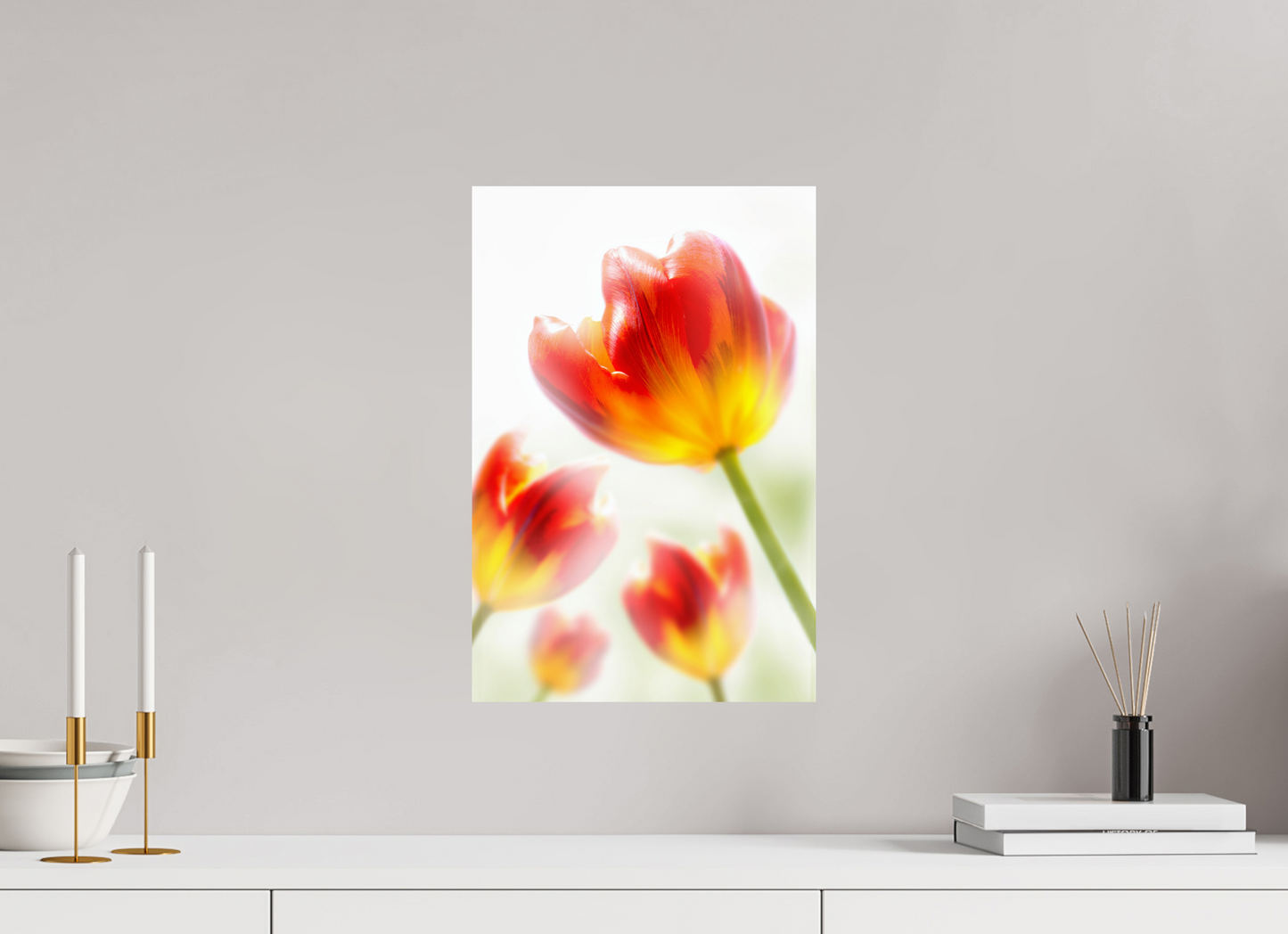 30 x 45 cm, Fine Art Print Baryta auf Alu-Dibond Tulpe-02