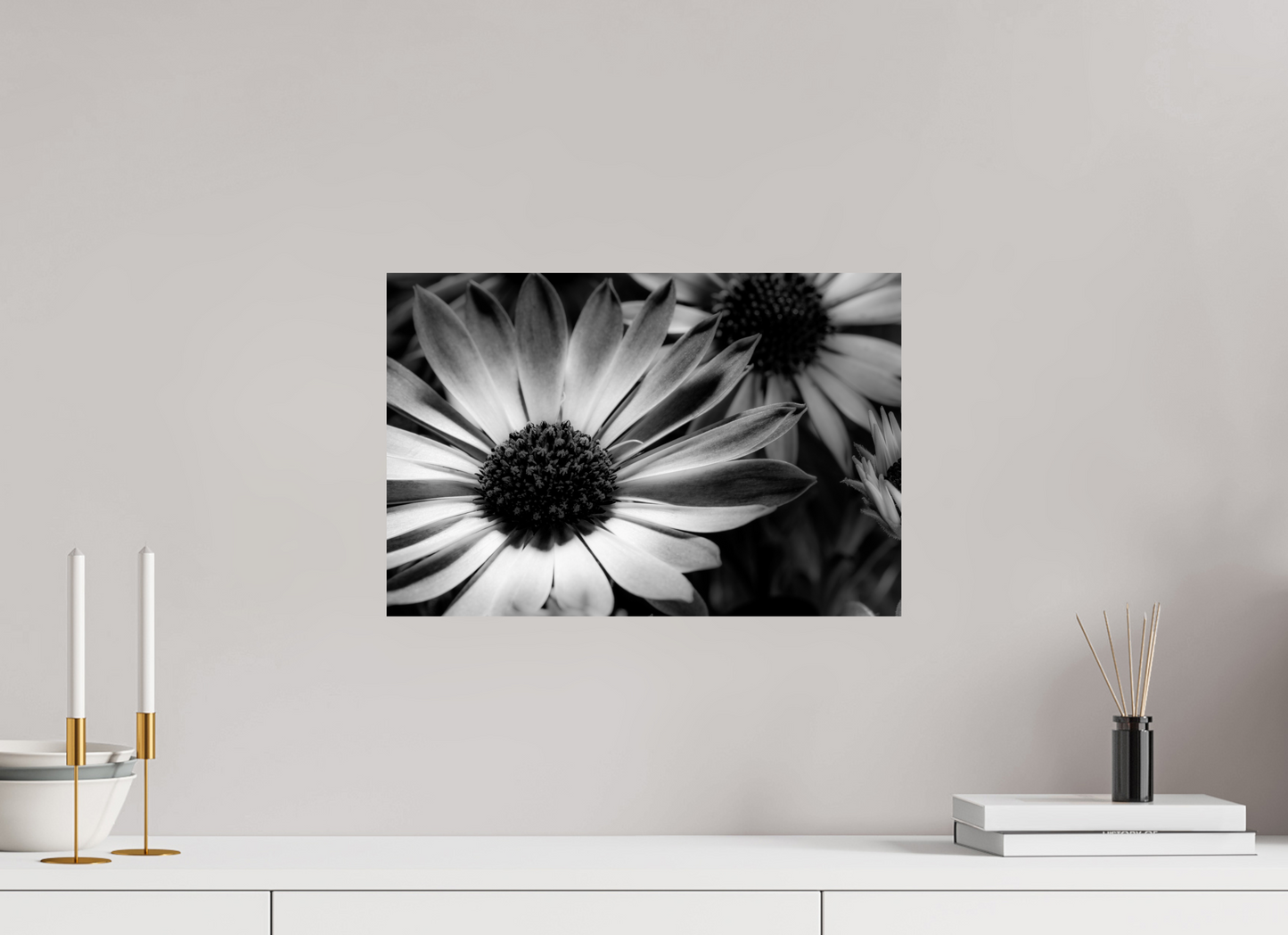 45 x 30 cm, ChromaLuxe HD Metal Print Kapmargerite_02