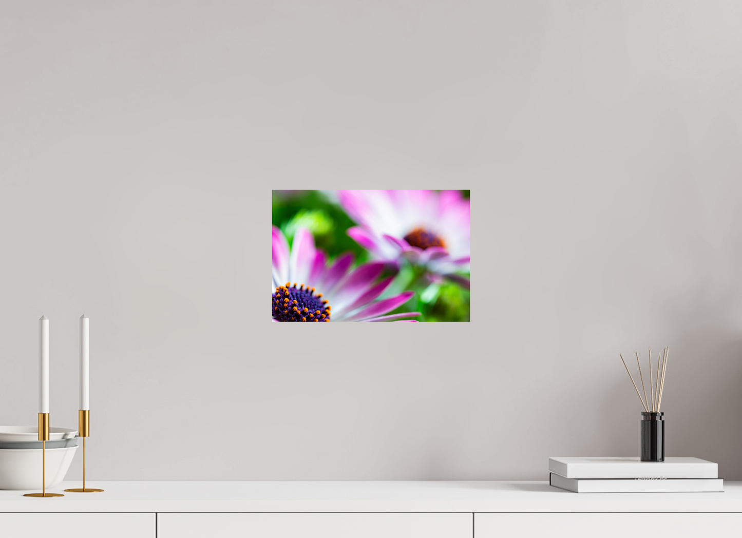 30 x 20 cm, Fine Art Print Baryta auf Alu-Dibond Kapmargerite_05