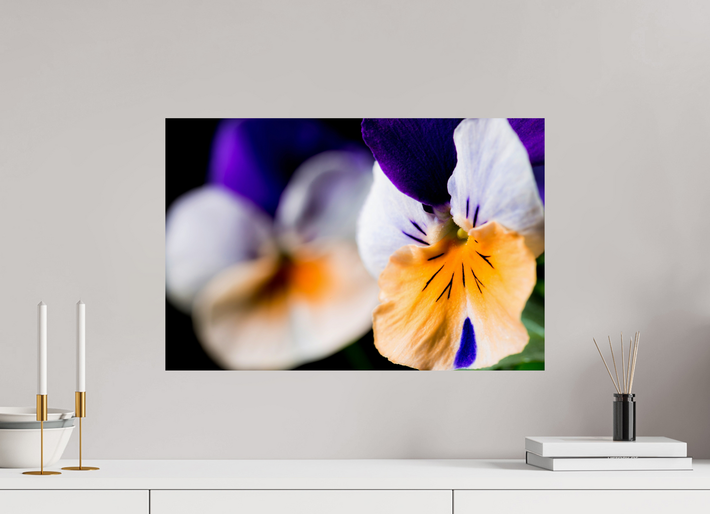 60 x 40 cm, Fine Art Print Baryta auf Alu-Dibond Hornveilchen_02