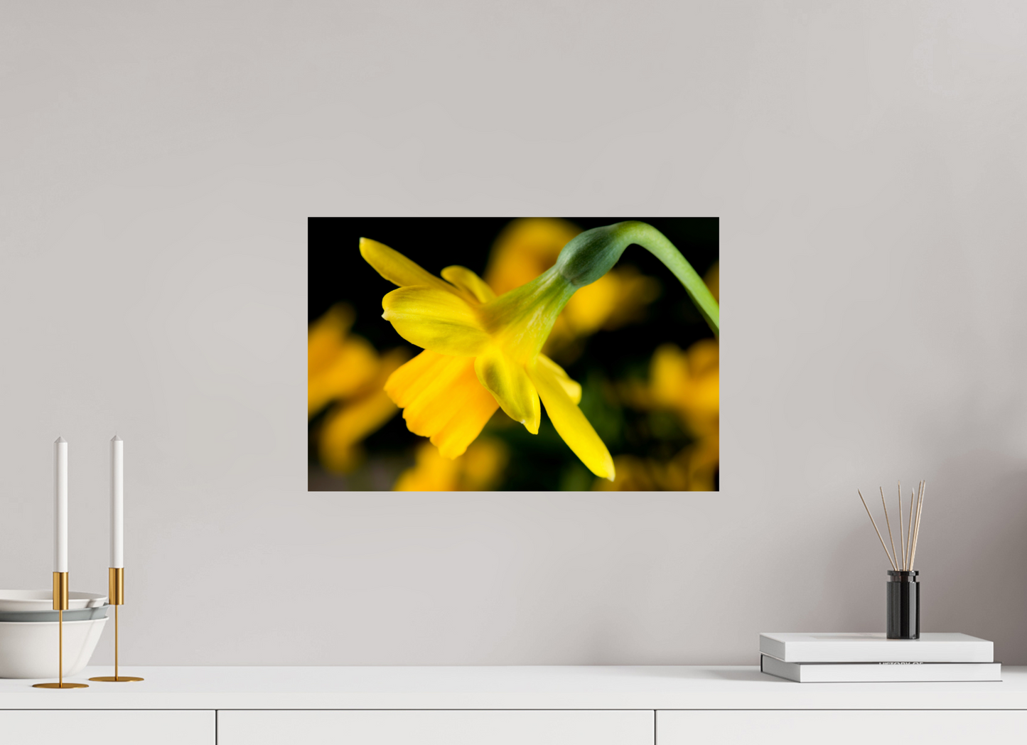 45 x 30 cm, Fine Art Print Baryta auf Alu-Dibond Narzisse_02