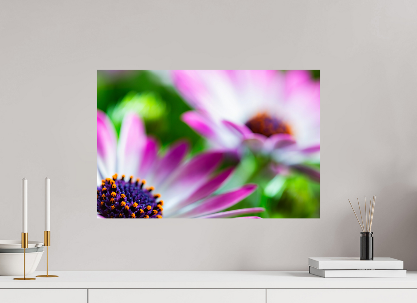 60 x 40 cm, Fine Art Print Baryta auf Alu-Dibond Kapmargerite_05