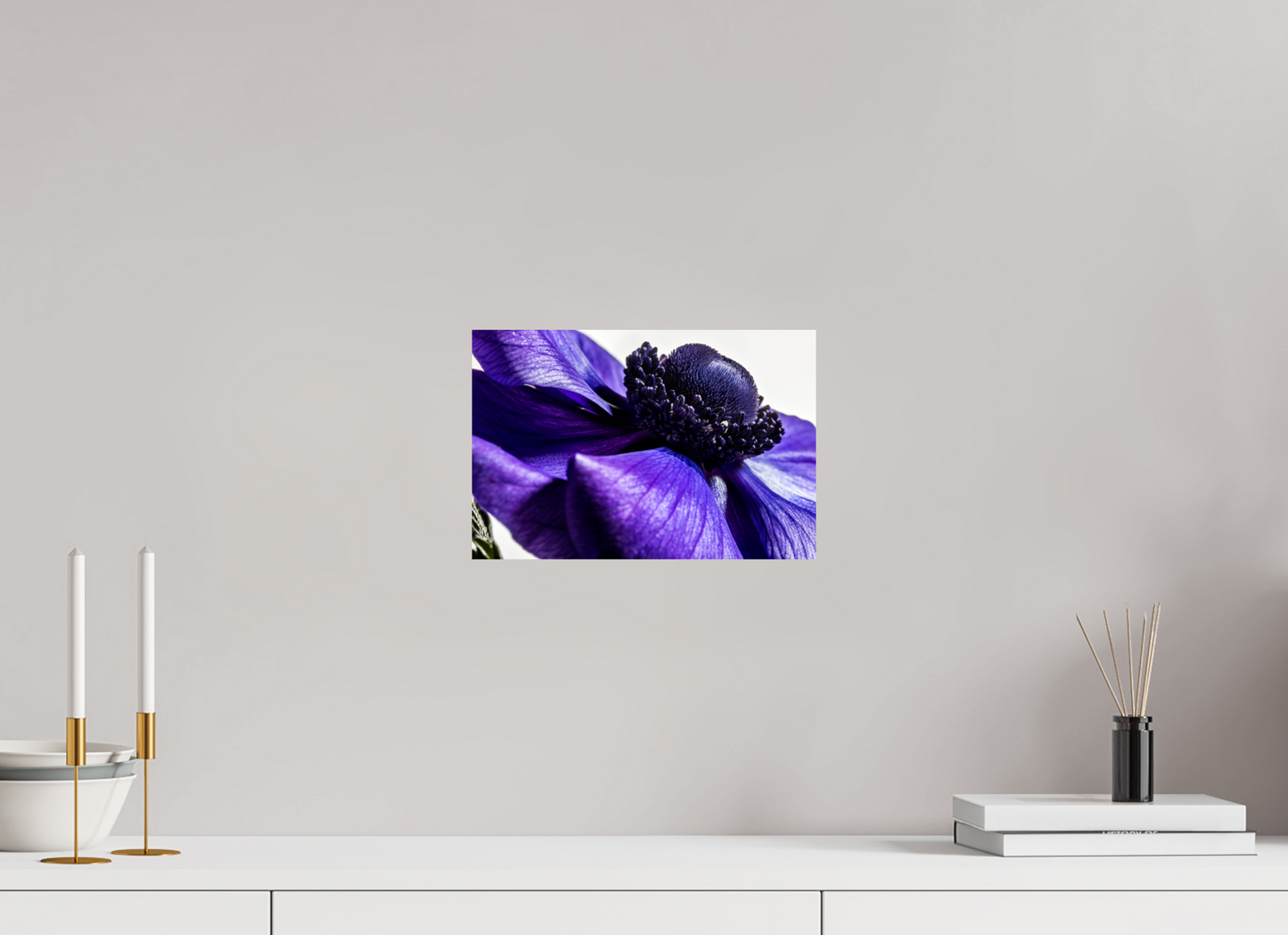 30 x 20 cm, Fine Art Print Baryta auf Alu-Dibond Kronenanemone_04