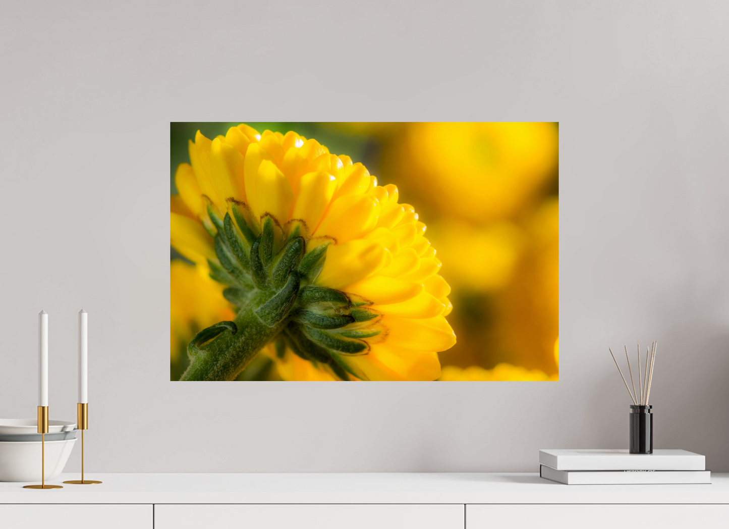 60 x 40 cm, ChromaLuxe HD Metal Print Chrysanthemen-05