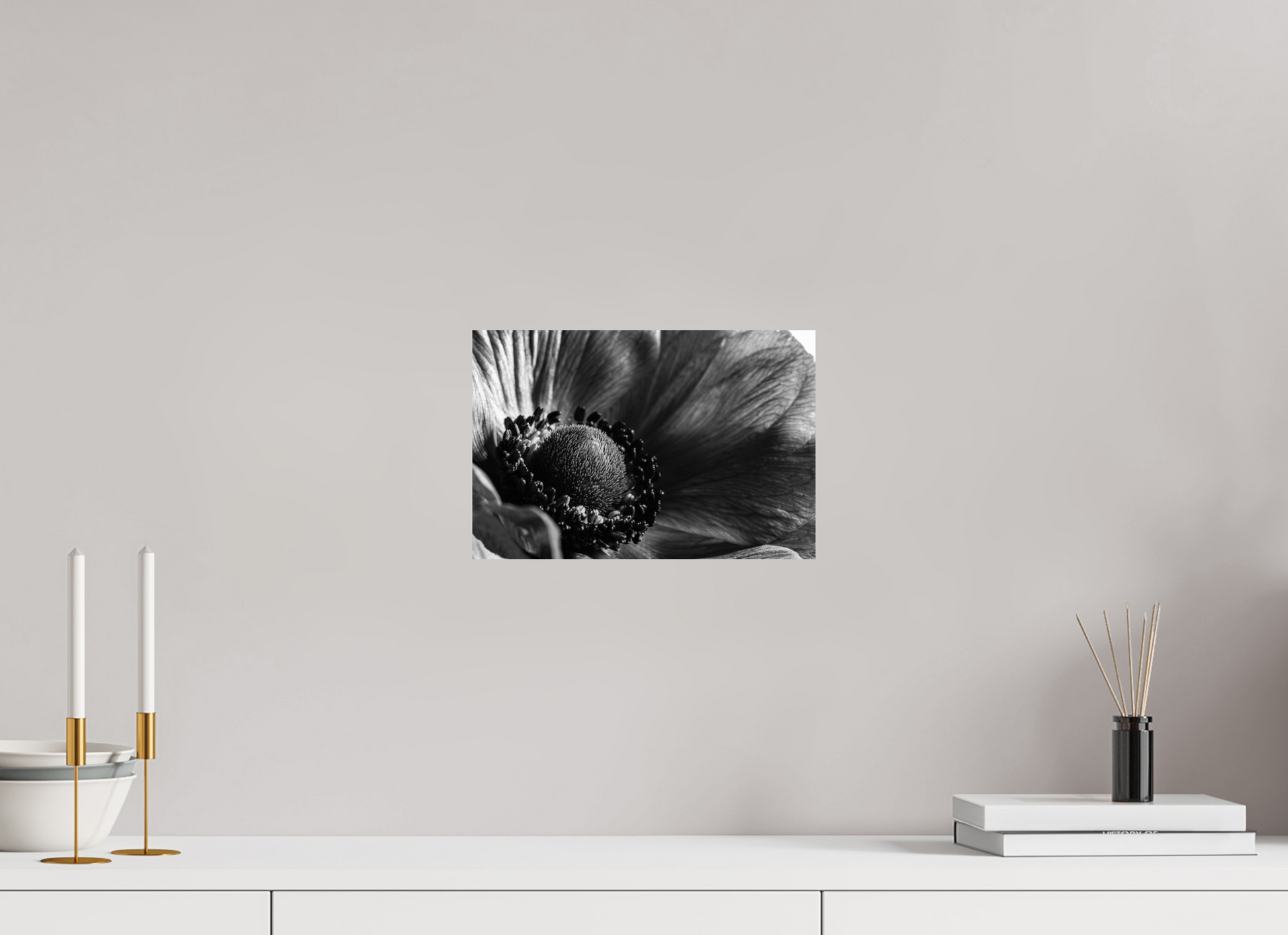 30 x 20 cm, ChromaLuxe HD Metal Print Kronenanemone_03