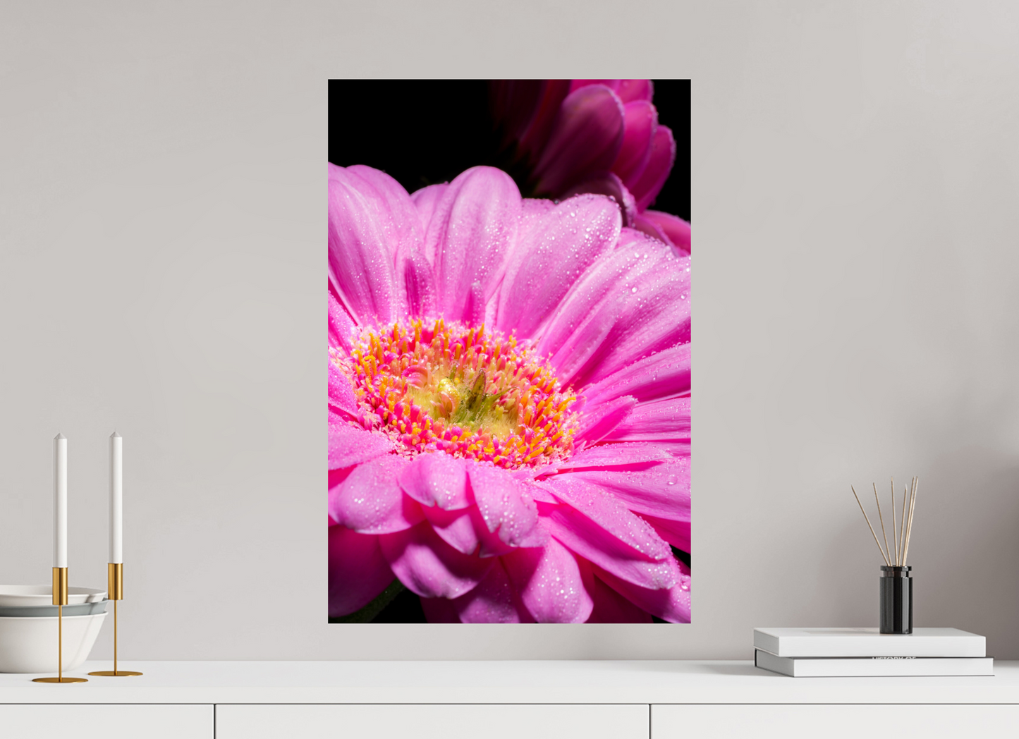 40 x 60 cm, Fine Art Print Baryta auf Alu-Dibond Gerbera_01