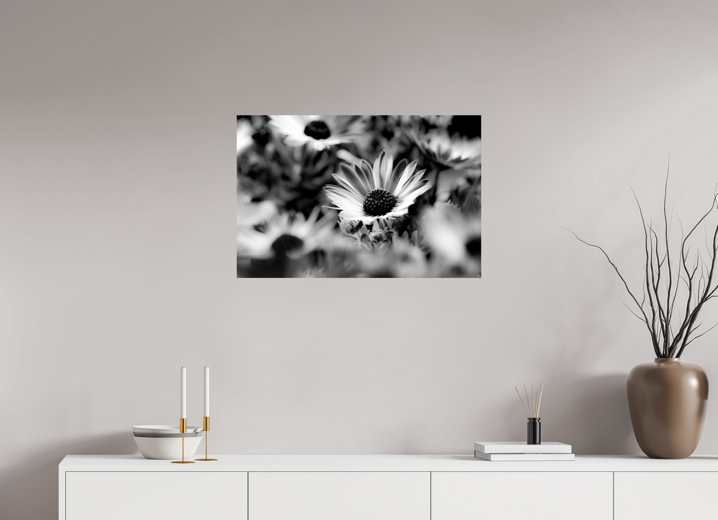 75 x 50 cm, Fine Art Print Baryta auf Alu-Dibond Kapmargerite_04